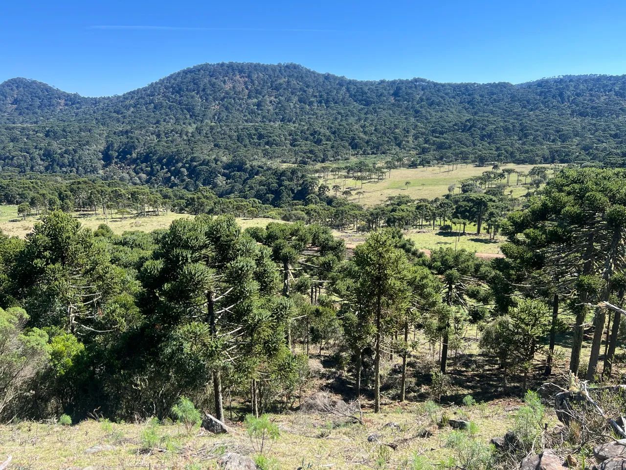 Fazenda em Urubici - 131 hectares  - Foto 15