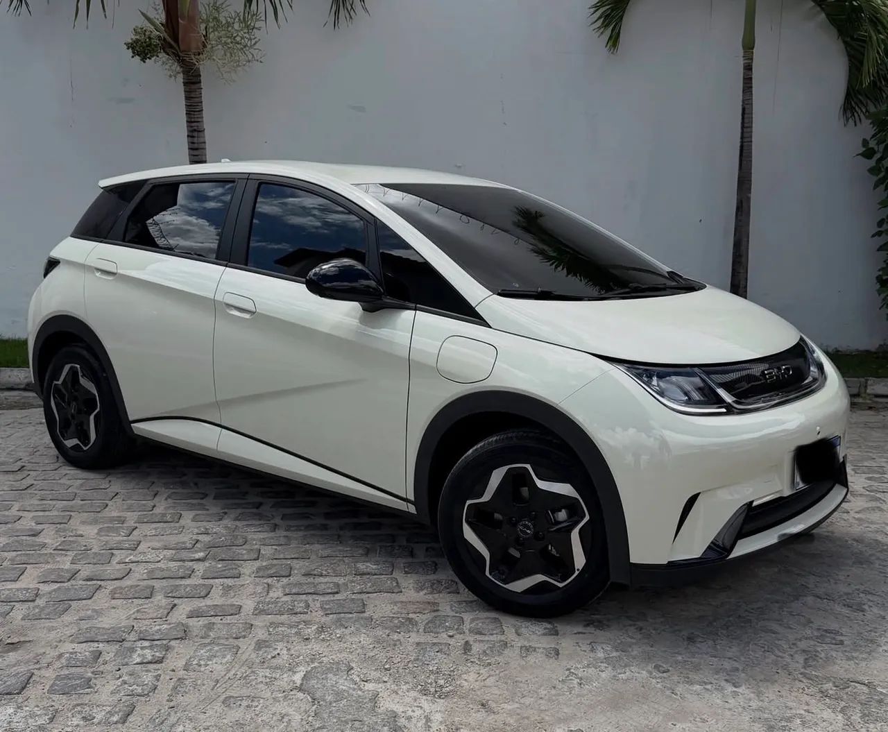 BYD Dolphin Mini GL 2025 - Foto 2