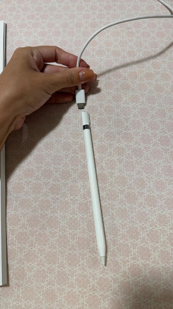 Caneta original Apple 