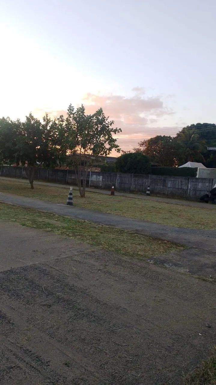 WELINGTON ROÇAGEM É JARDINAGEM  - Foto 4