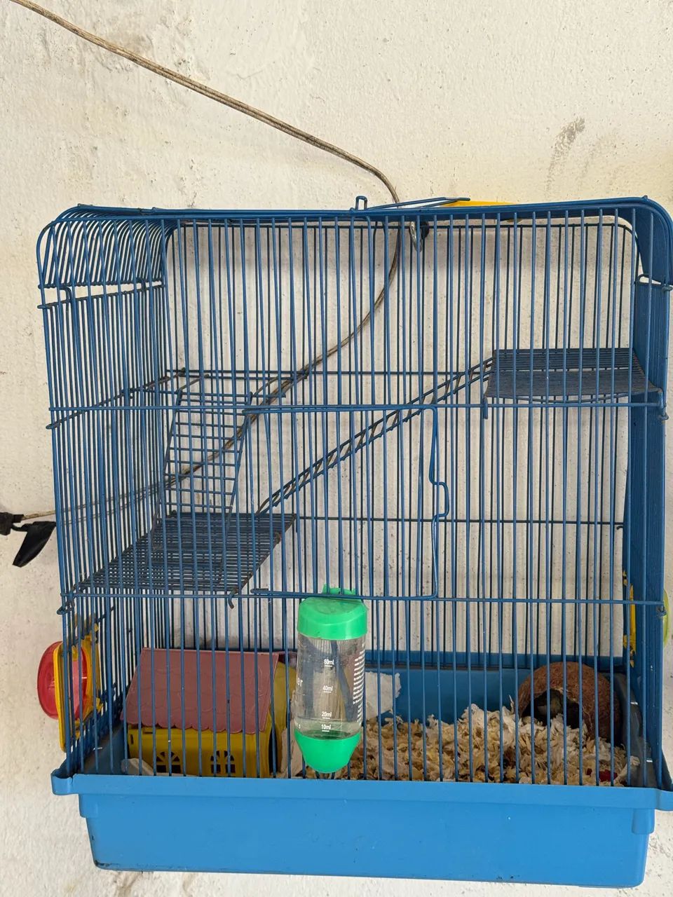 Gaiola de Hasmters - Foto 4