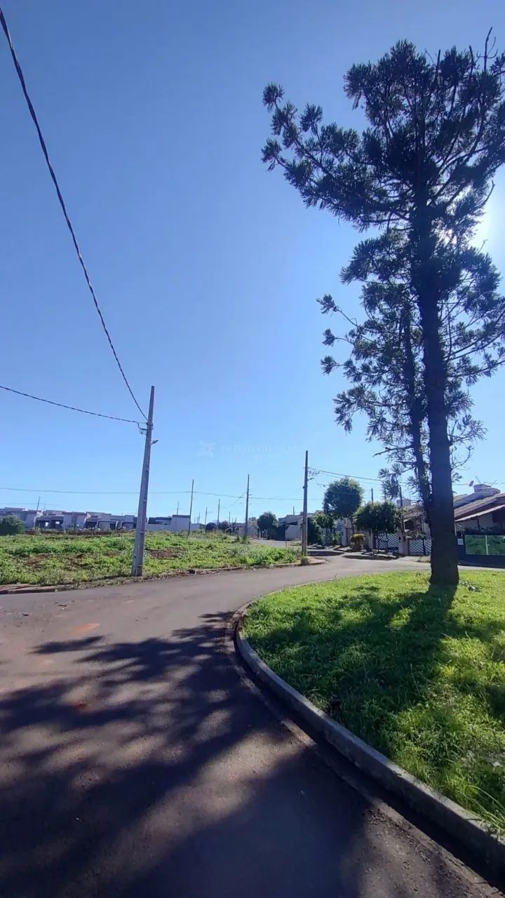 Terreno Padrão em Paiçandu