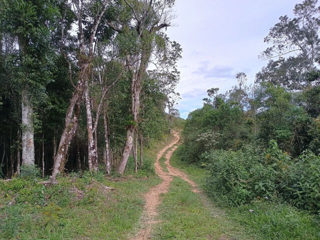 ANITÁPOLIS/SC - Ótimo terreno para sítio com 2.8hectares  - Foto 2
