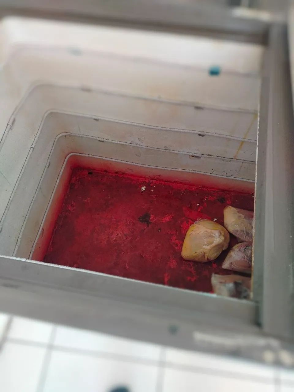VENDO FREEZER + BALANÇA - R$ 750,00 - Foto 3