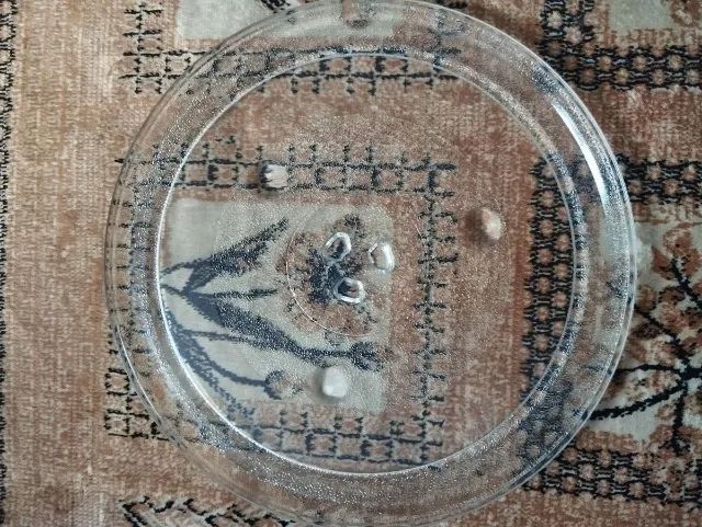 prato de vidro para microondas
