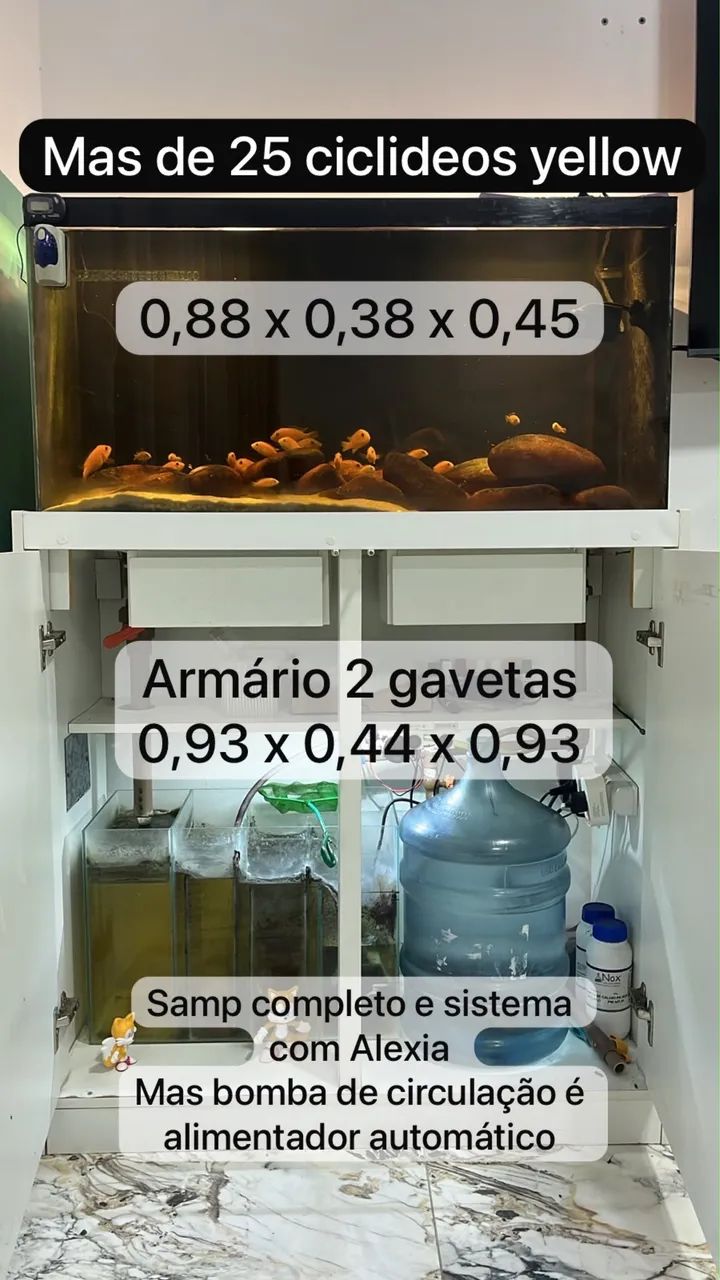 Aquário completo  - Foto 3
