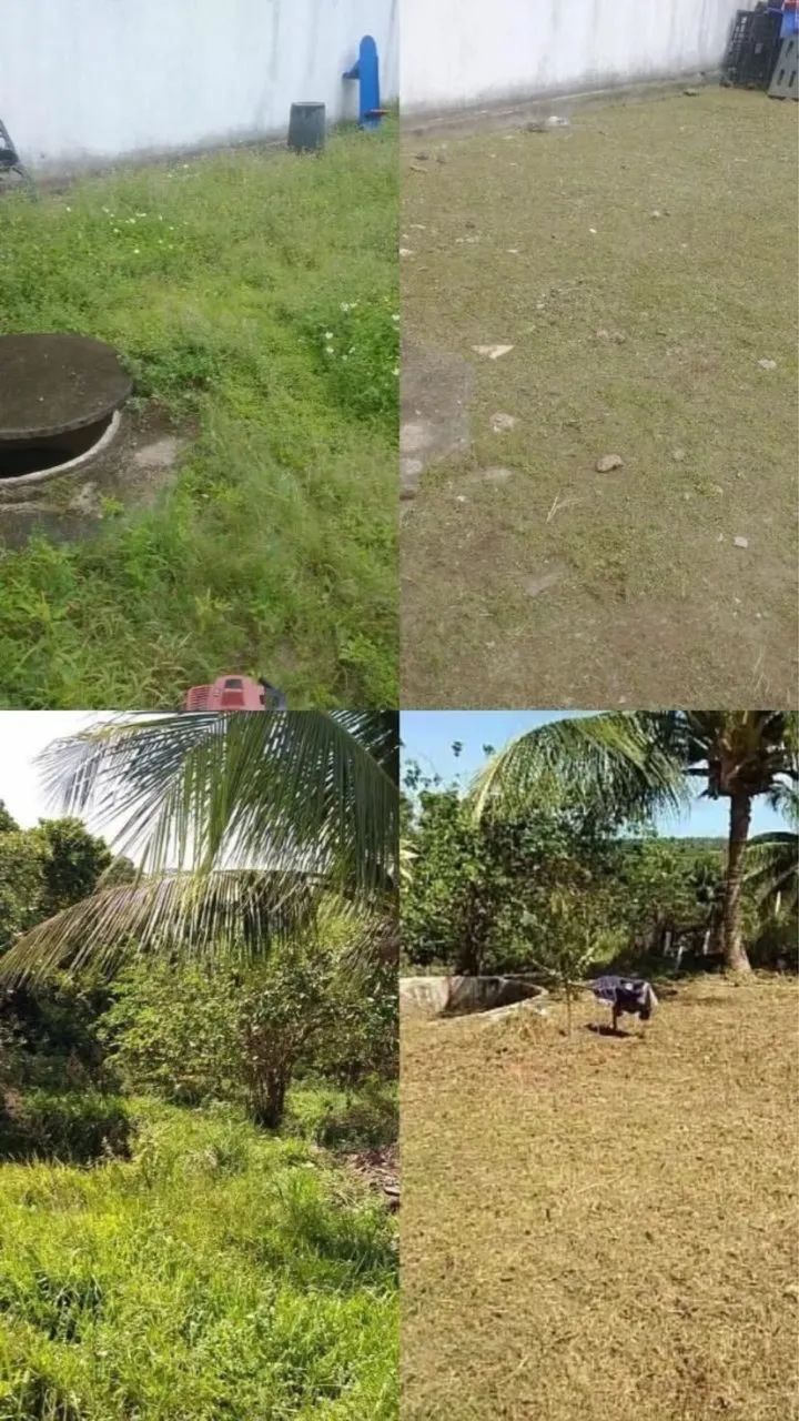 SERVIÇO DE CAPINAÇÃO E POLDAGEM  - Foto 3