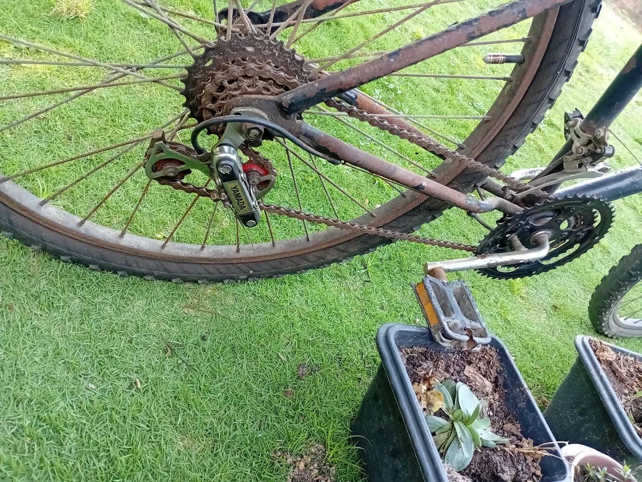 Bicicleta  - Foto 3