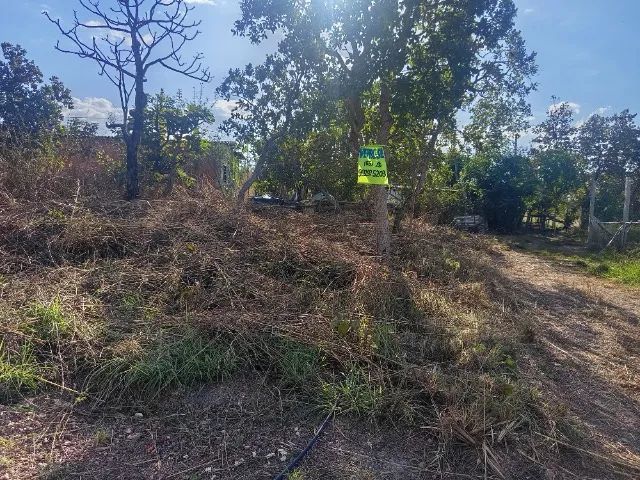 ? Lote à Venda - Excelente Localização e Ótima Oportunidade! - Foto 4