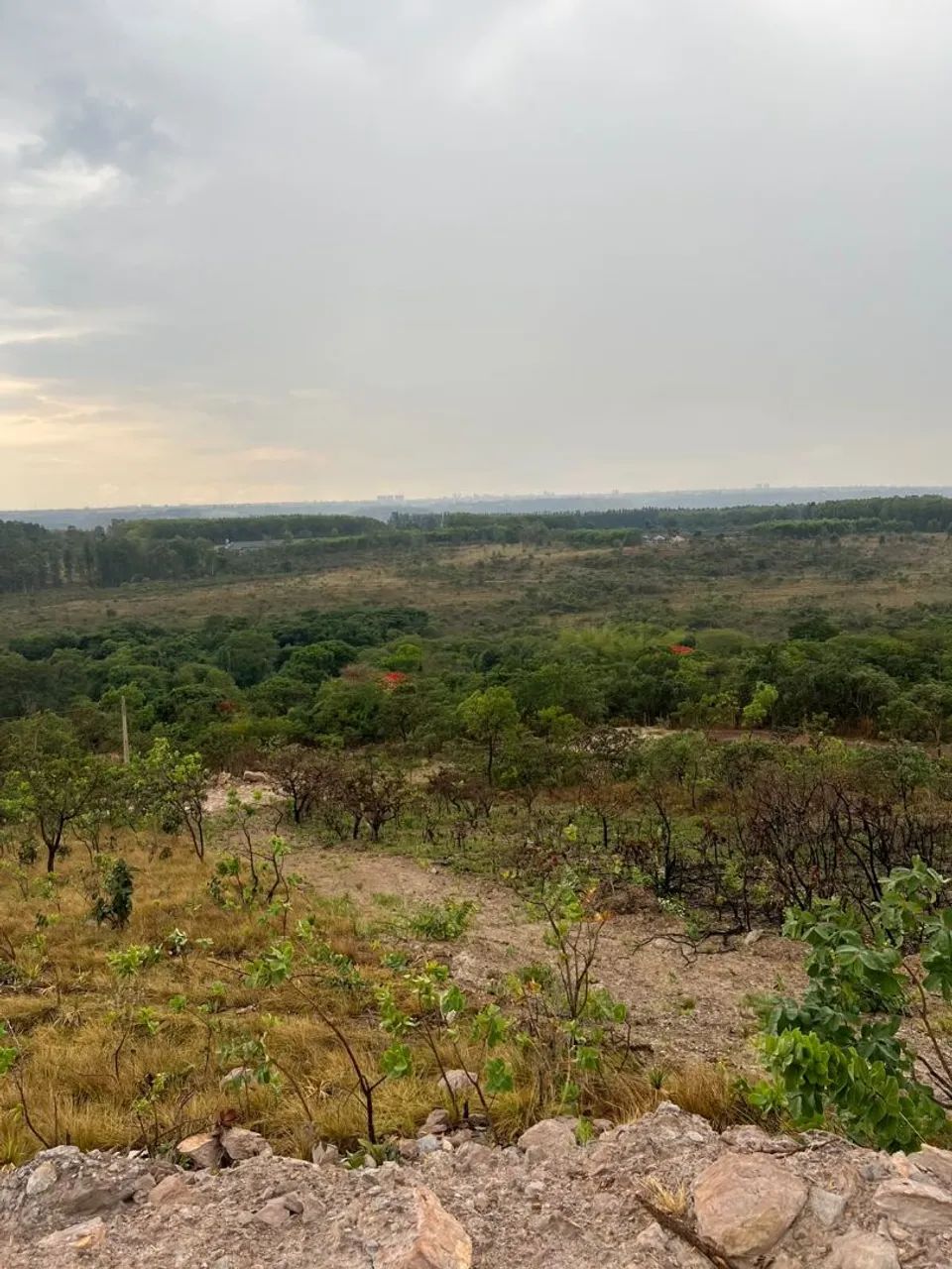 Lote em samambaia 80.000 - Foto 2