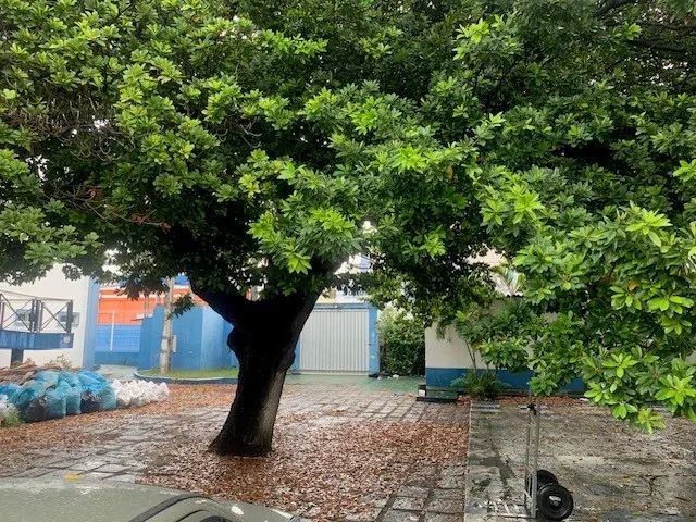 PRÉDIO COMERCIAL para alugar na cidade de FORTALEZA-CE - Foto 5