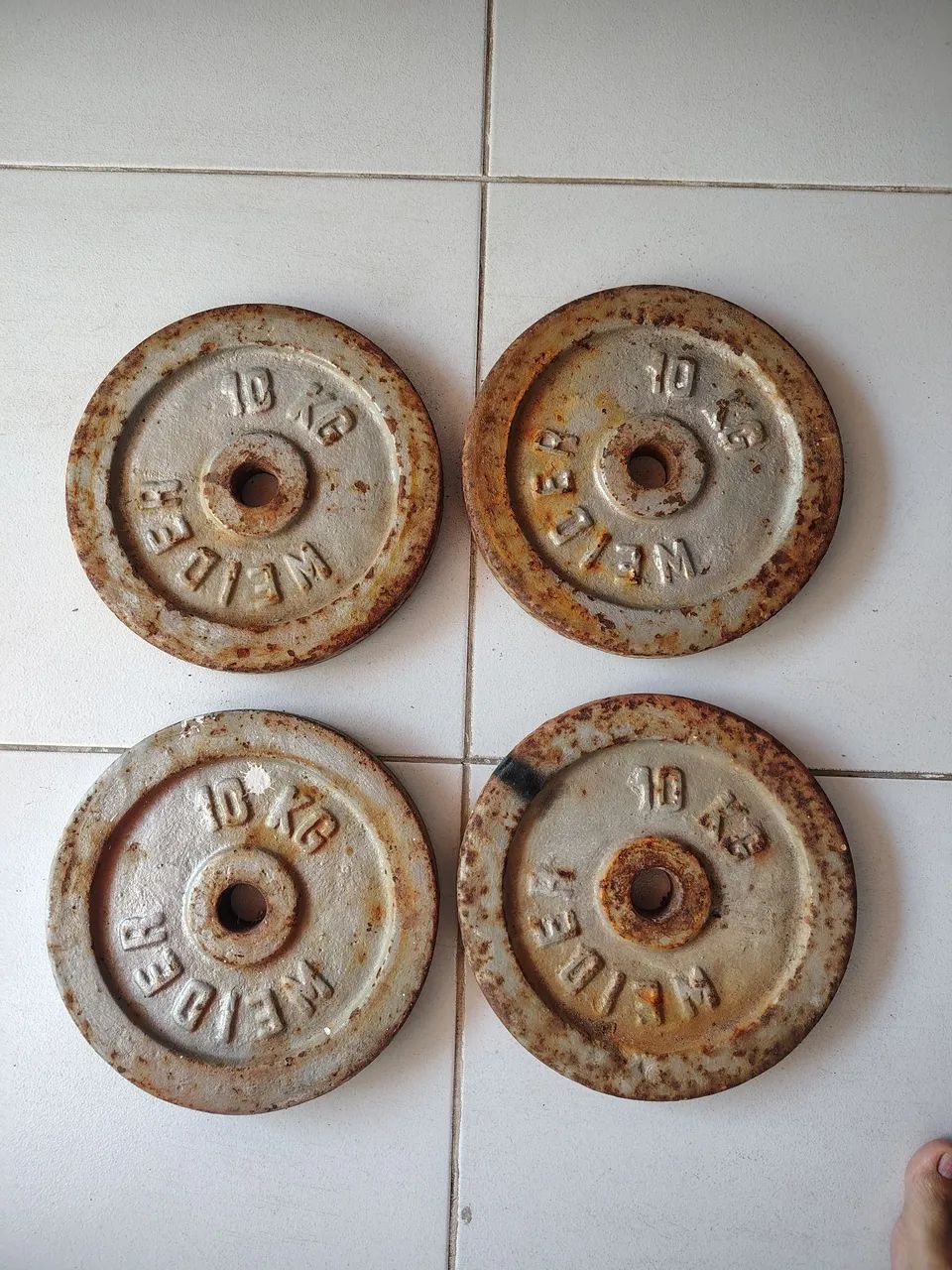 Halteres para musculação