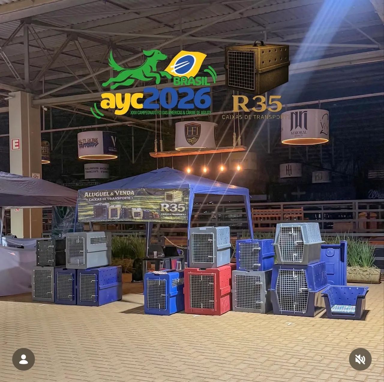 Caixas Padrão IATA Transporte Pet Aéreo  - Foto 4