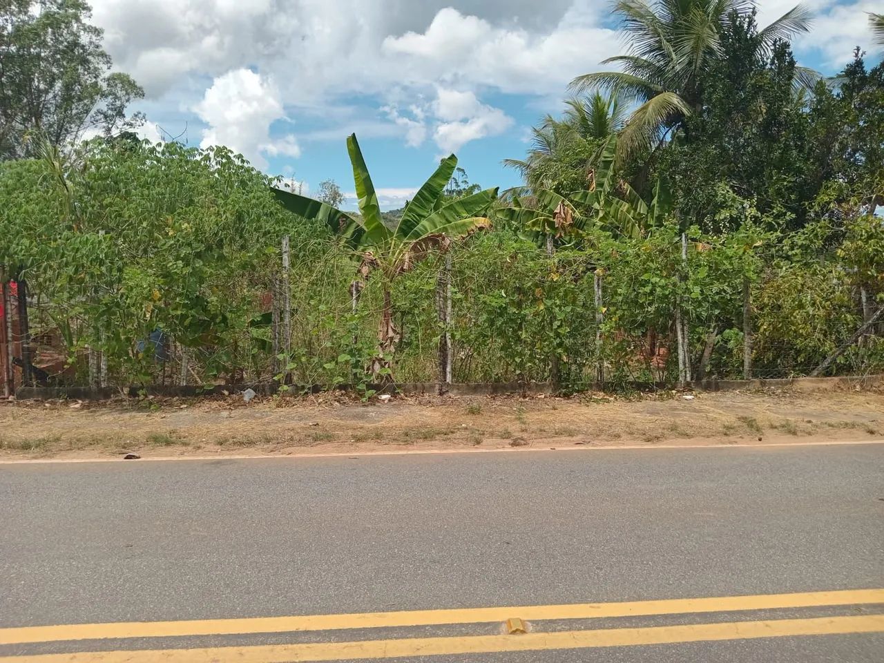 Vendo terreno [ BICUDA PEQUENA ]