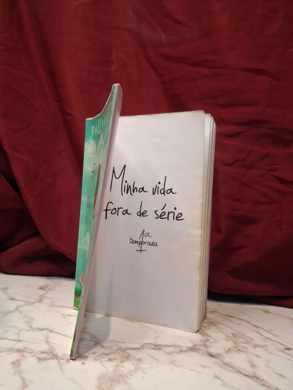 Box Minha Vida Fora de série (1, 2, 3, 4) - Foto 5