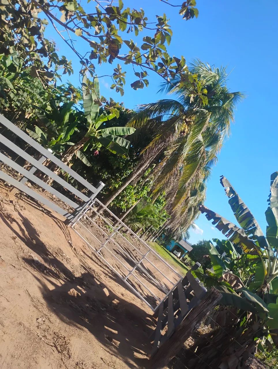 Chácara a venda  - Foto 2