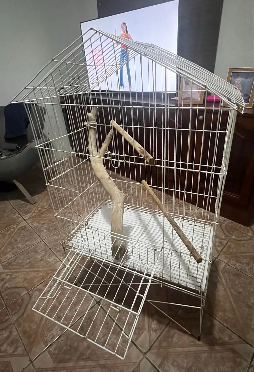 Viveiro65093397027331122