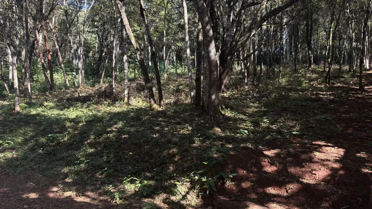 Lotes no Quintas da Boa Vista em Brumadinho de 1.000 metros - Exclusivos! - Foto 4