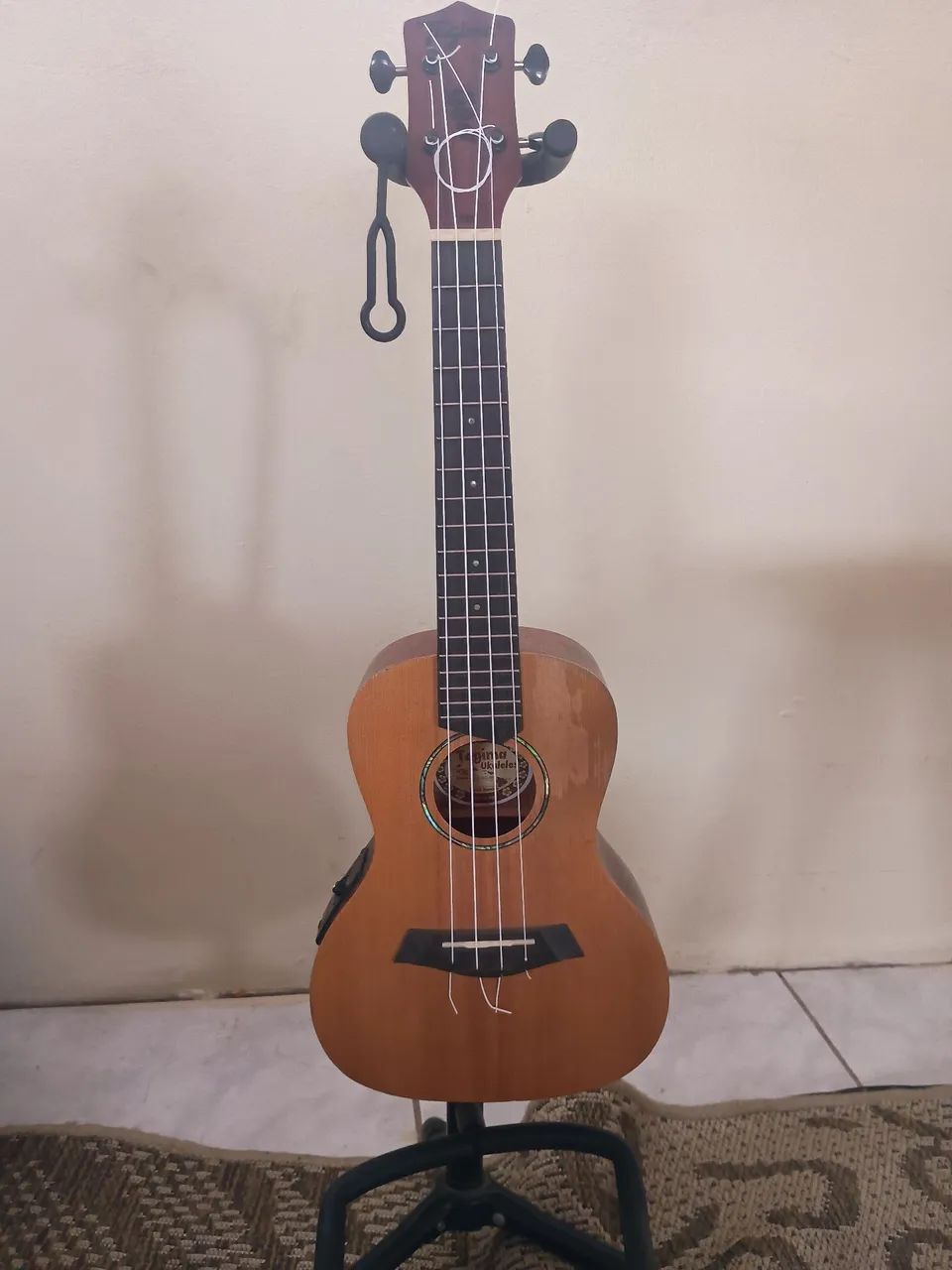 Ukulele concert Tagima - Foto 4