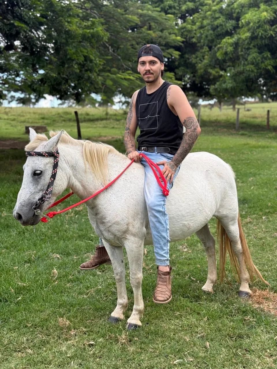 Pônei mansinha 