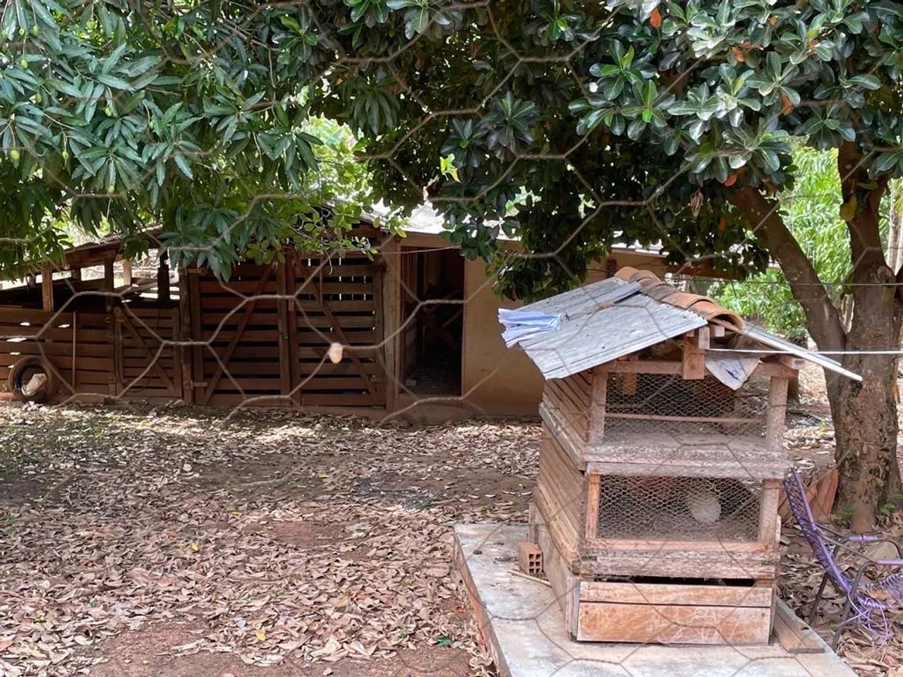 Fazenda 13 alqueire  - Foto 4