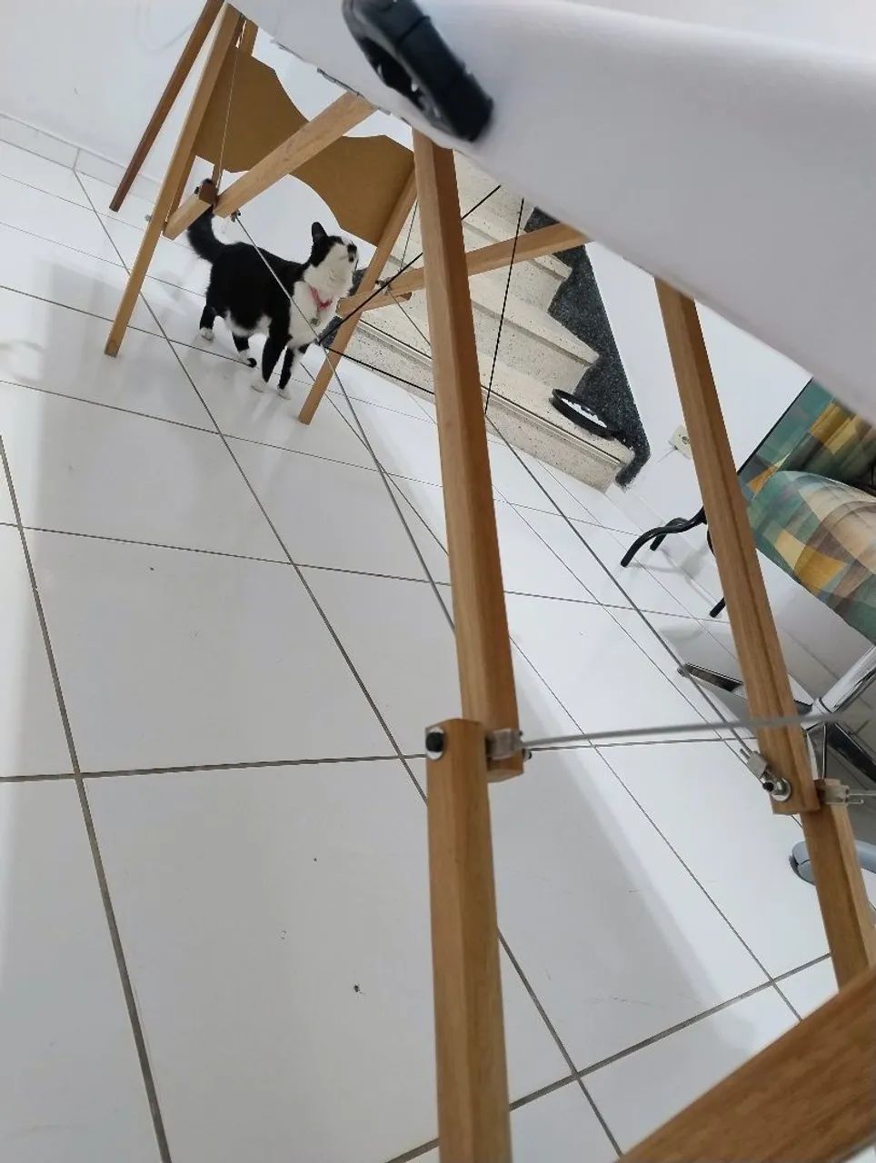 Maca Santa Fé  - Foto 3