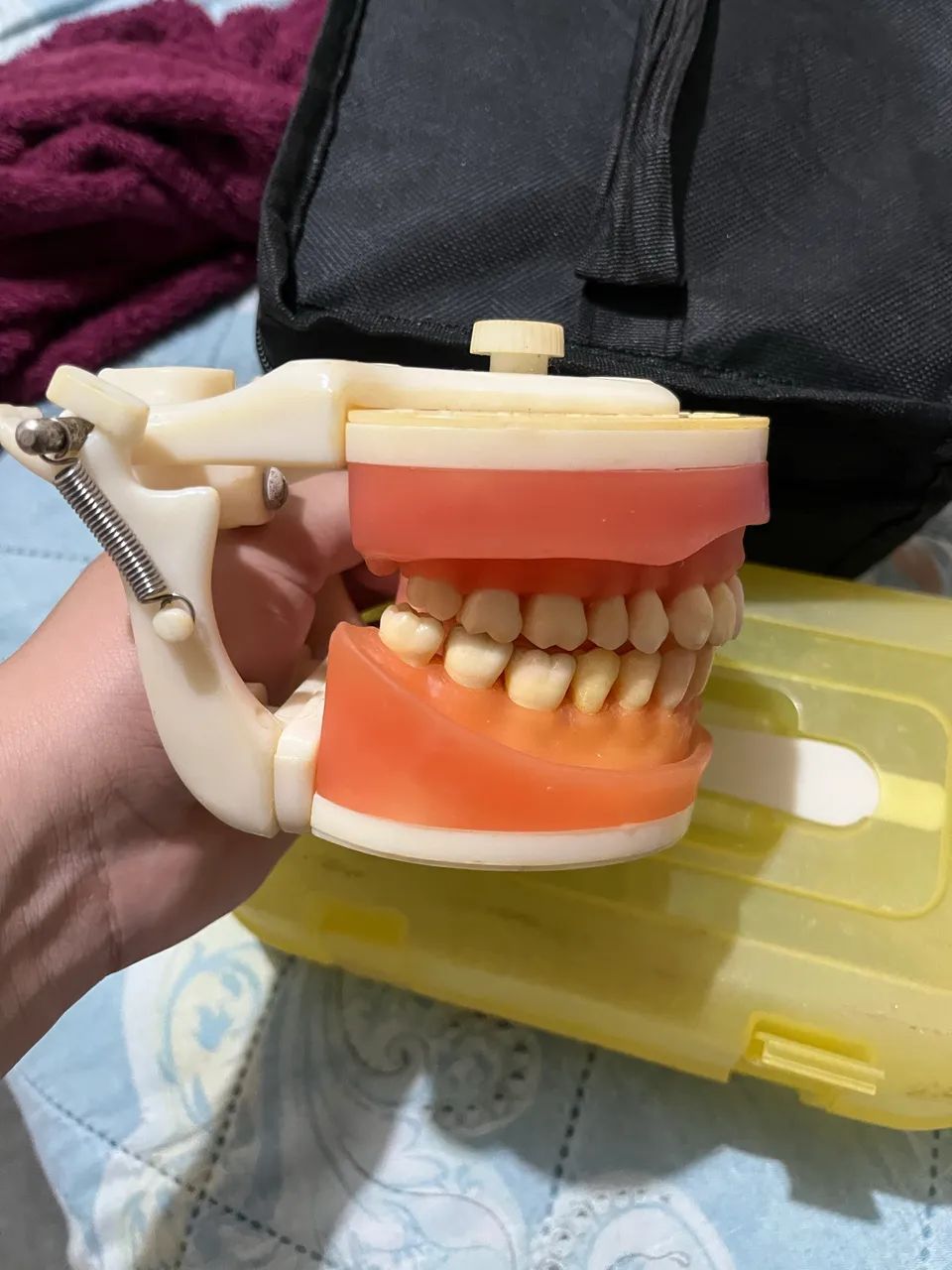Manequim Odontologia  - Foto 3