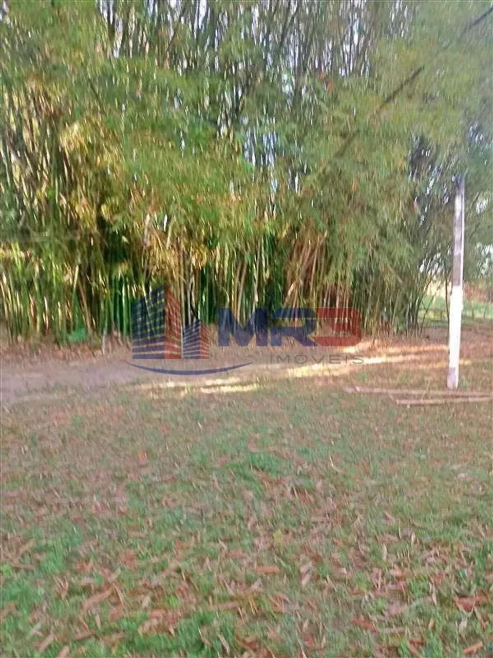 Araruama | Sítio 1 quarto - Foto 4