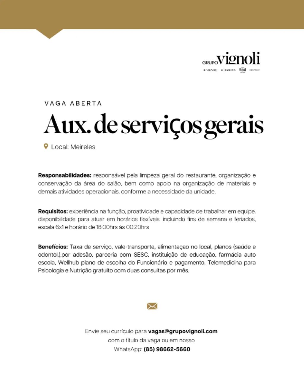 Auxiliar de serviços gerais - Vignoli Meireles