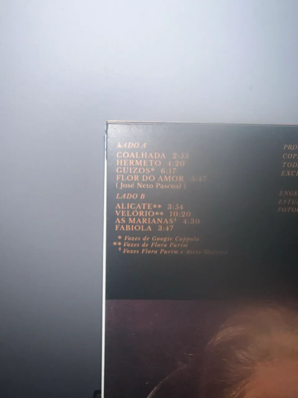 LP - Hermeto Pascoal - NOVO - NOIZE com revista -  - Foto 5
