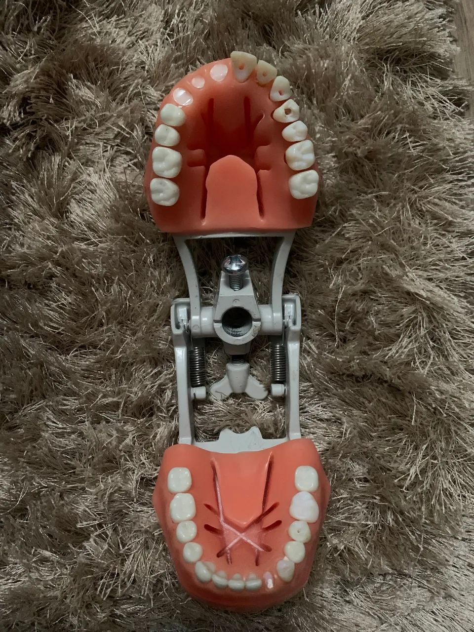 Manequim endodontia MOM - Foto 2