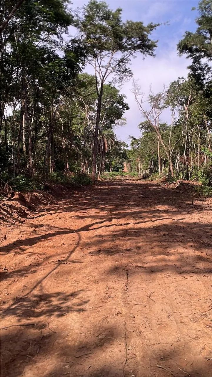 Terreno rural em florestal  - Foto 3