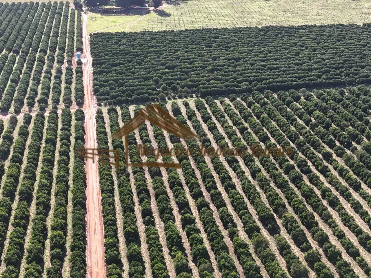 Fazenda com 75 alqueires na região de Garça-SP - Foto 5