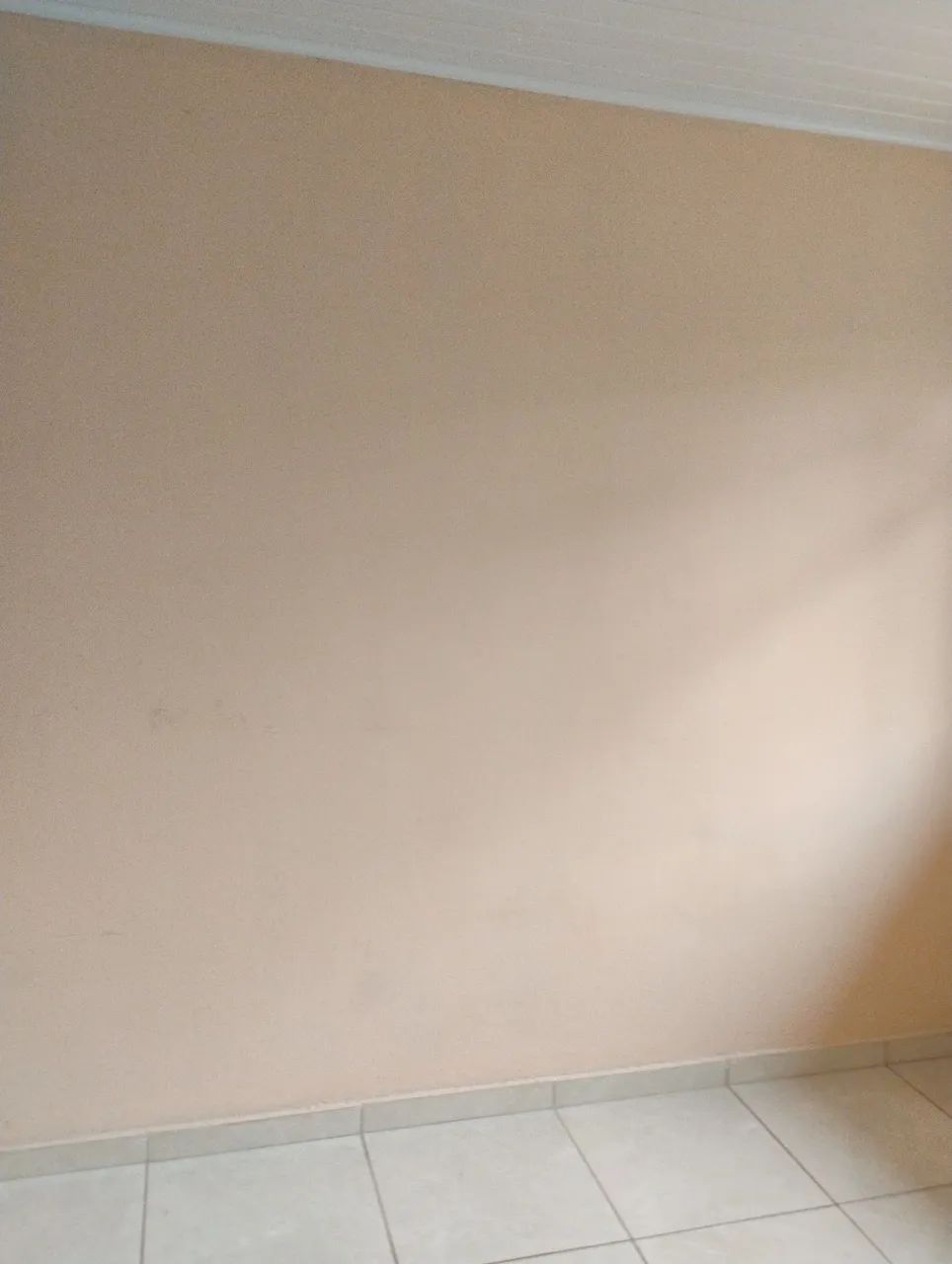 Foto - São José dos Pinhais - Roseira de São Sebastião