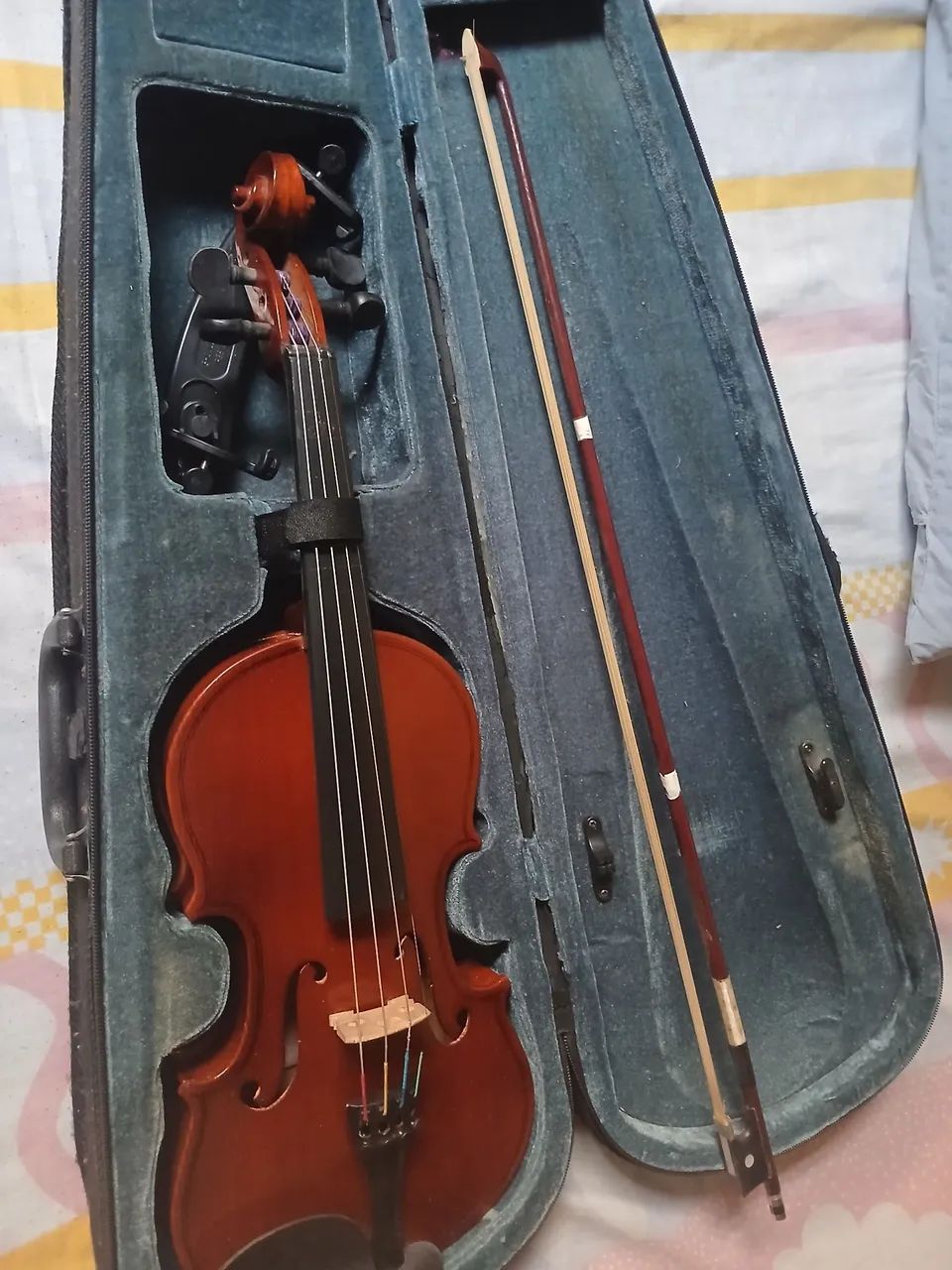 Violino