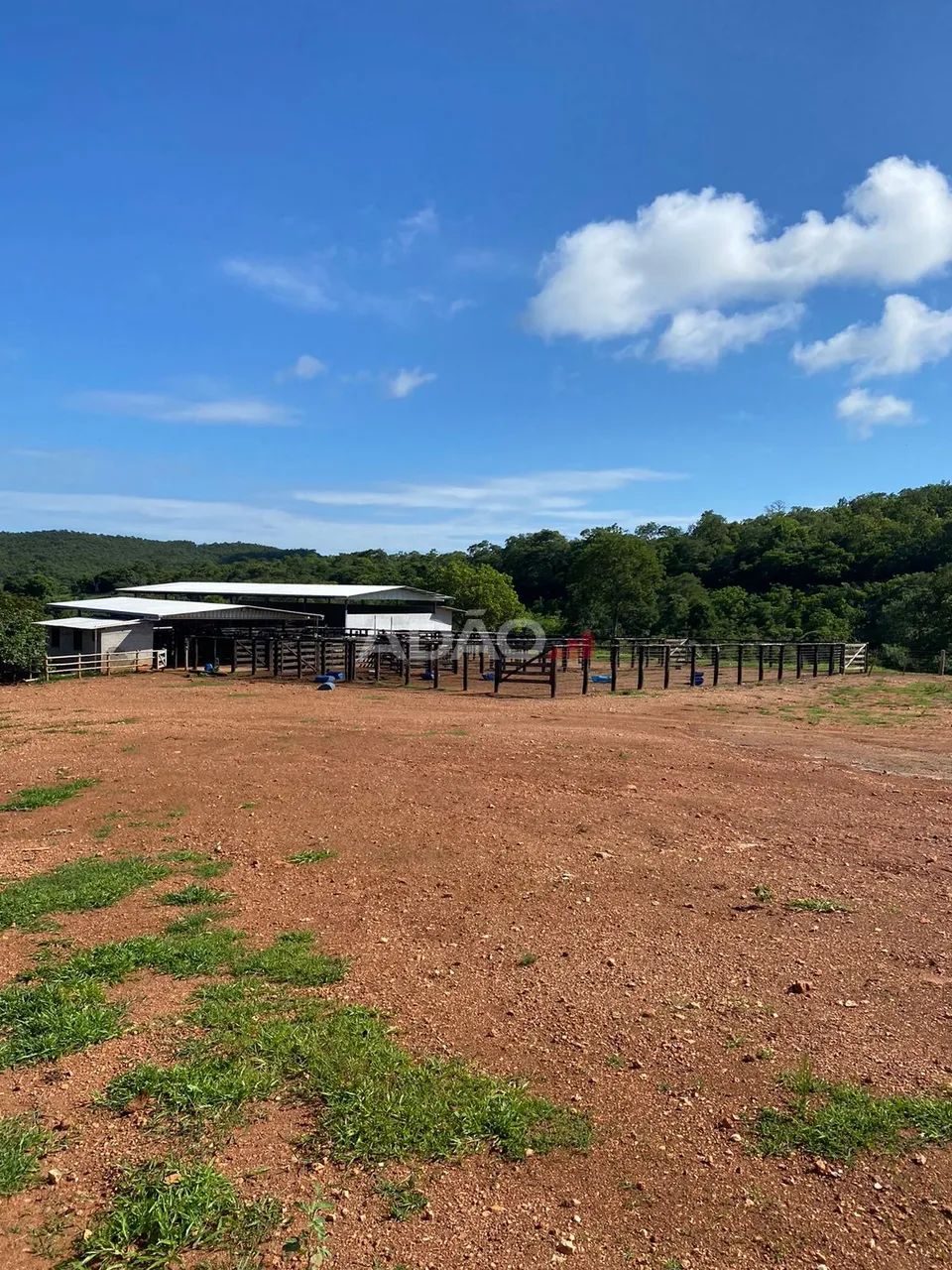 Fazenda 116 alqueires Faina GO