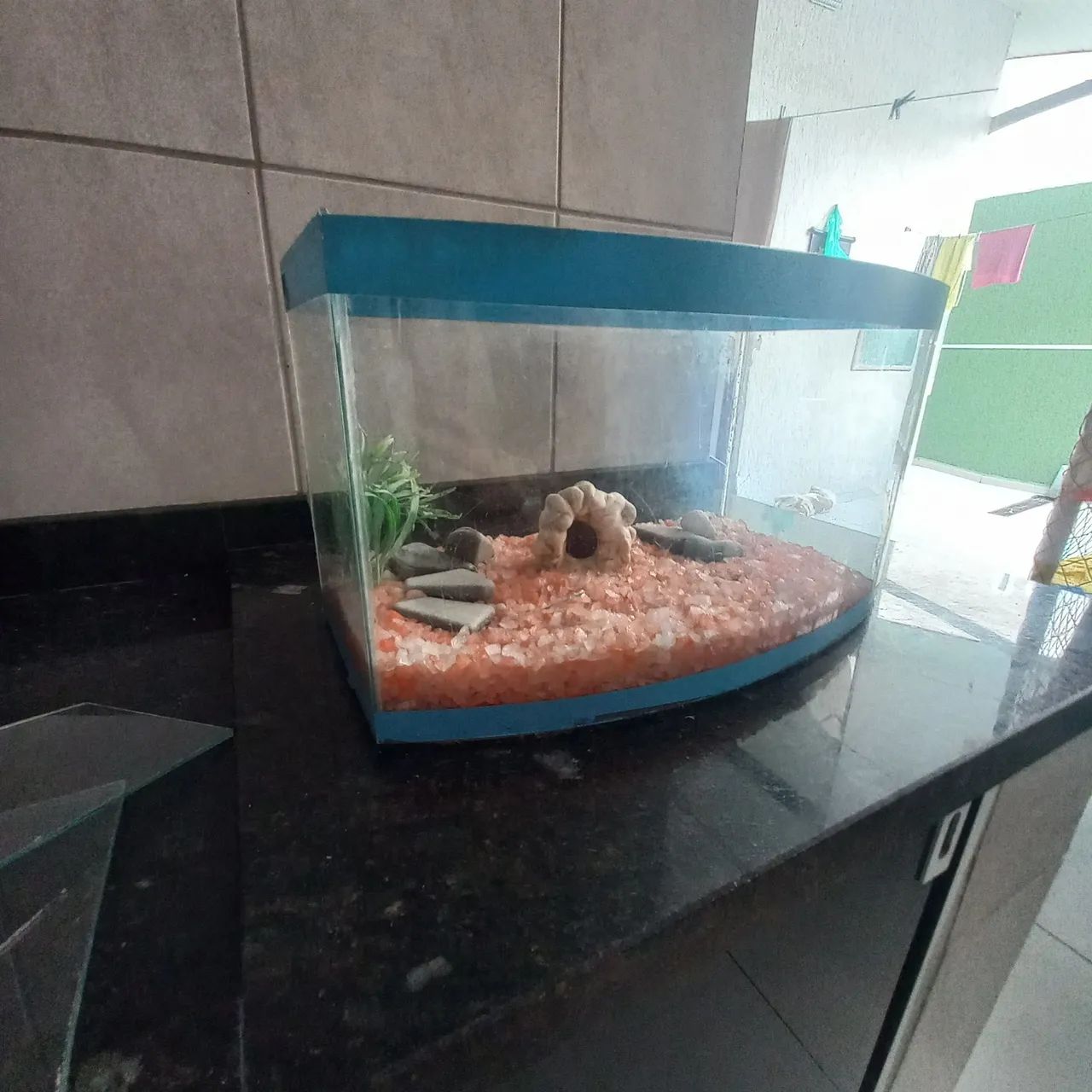 Aquário para peixes - Foto 2