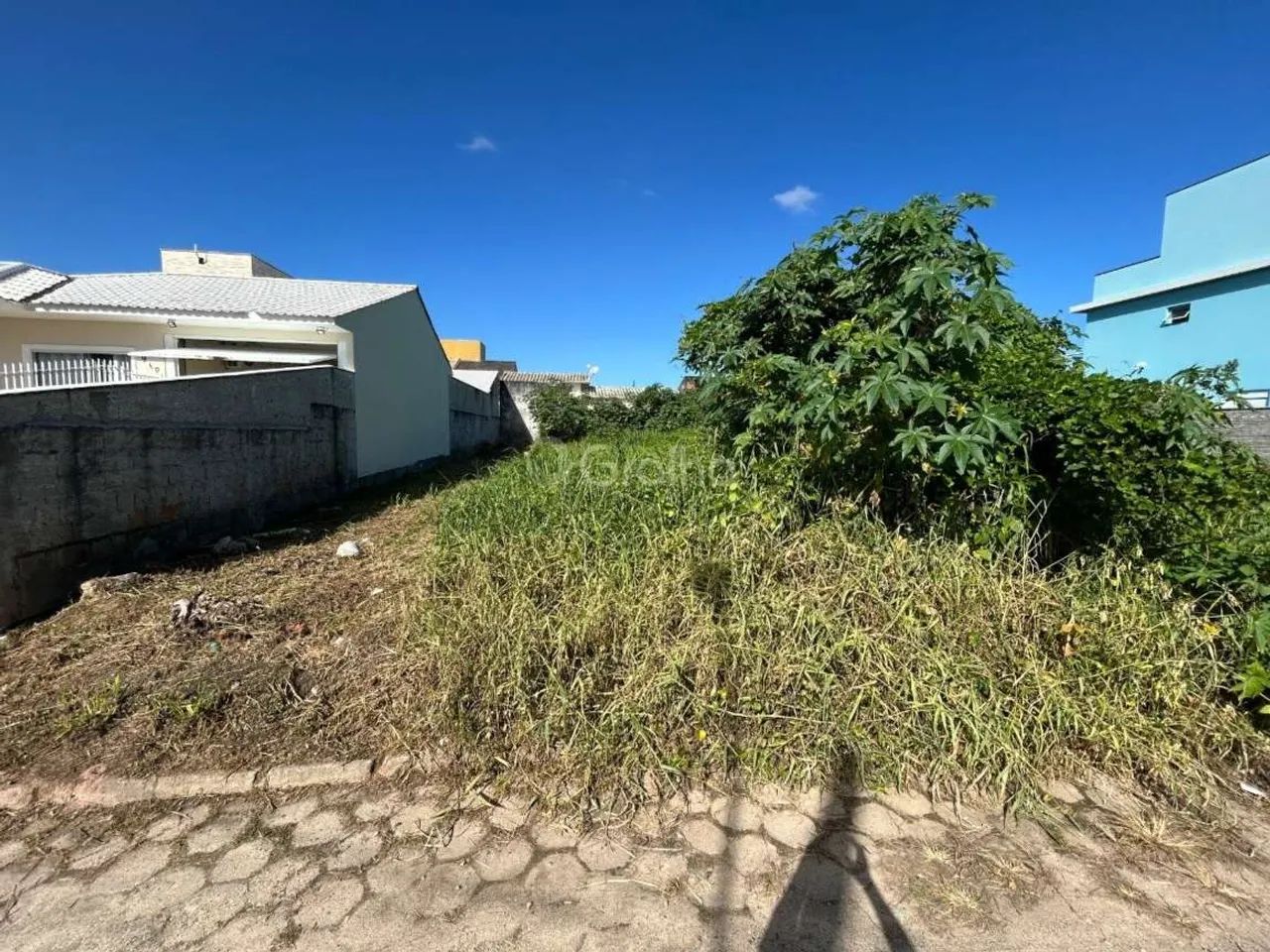Terreno para Venda em Florianópolis, Carianos - Foto 3