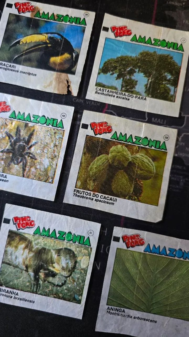 Lote c/ 10 figurinhas Ping Pong Amazônia (1991) - Foto 3