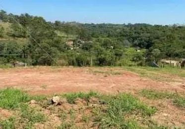 Terreno bairro Campo Largo - Foto 4