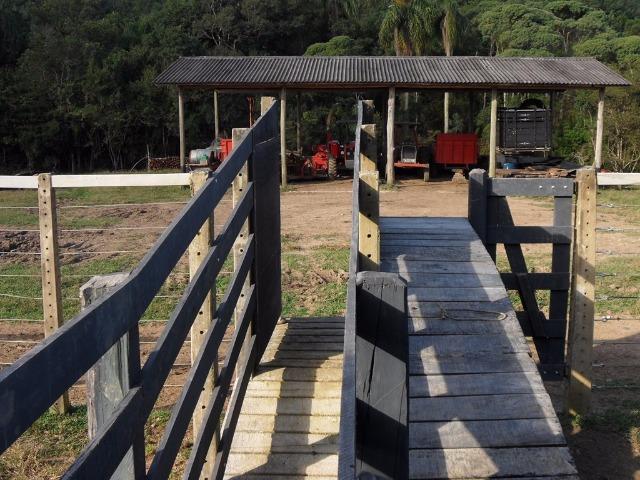 Fazenda para Gado - Foto 8