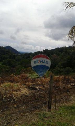 Fazenda à venda em una. - Foto 17
