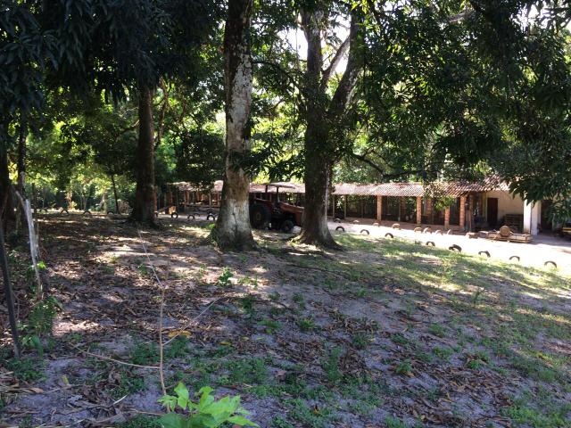 Axixá - Maranhão: Excelente Fazenda p/ Vender - Foto 13