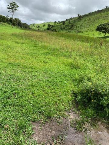 Fazenda para venda em passira, passira - Foto 15