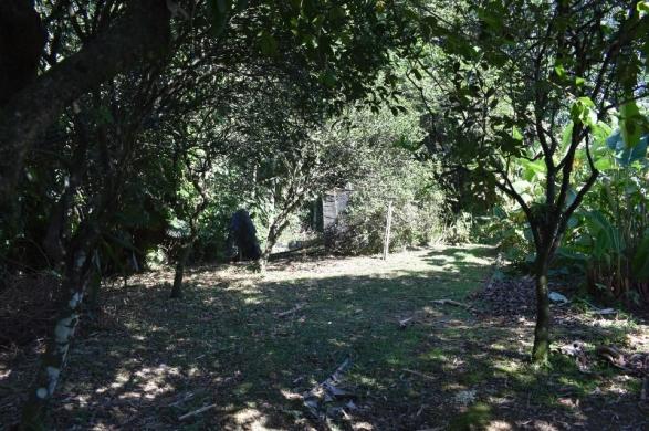 Linda casa no petrópolis | com terreno de 2.517 m² | área de lazer completa - Foto 12