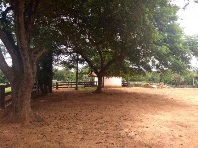FAZENDA A VENDA EM IRAQUARA - BA (Pecuária)