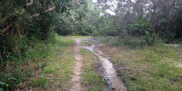 Morros - Ma: Vendo uma Excelente Propriedade Rural - Foto 15