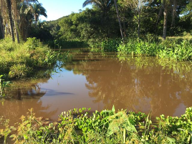 Fazenda com 980 hectares no município de Palmeirais-PI, 95 km de Teresina - Foto 14