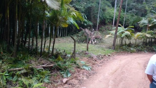 Vendo terreno no gasparinho R$ 42.000,00 - Foto 6
