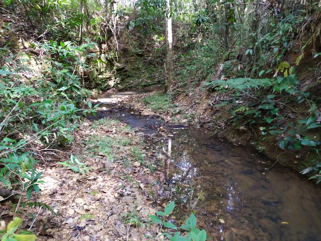 Terreno Rural/fazendinhas financiadas em Jaboticatubas - MVT - Foto 8